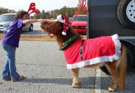 Tatertot in the Fork Shoals Parade